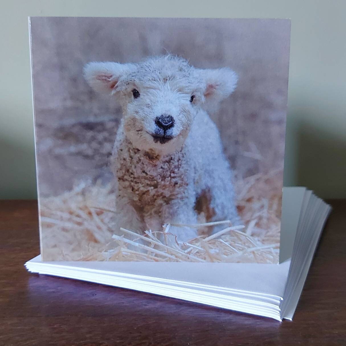 Sheep Card Sheep Greetings Card Sheep Blank Card Cute Birthday Card