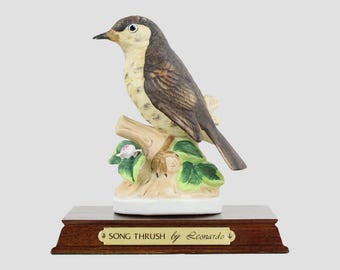 Grive musicienne par Leonardo Birds