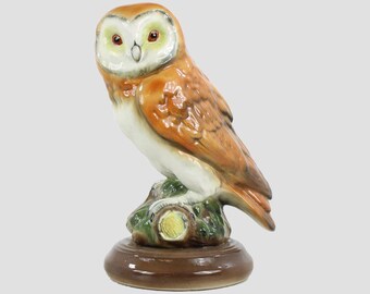 マーケイ フクロウ ボーダー ファインアート 鳥 - Etsy 日本