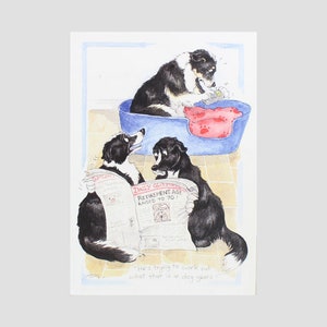 Crisis de pensiones Tarjeta Border Collie de los animales de Alison