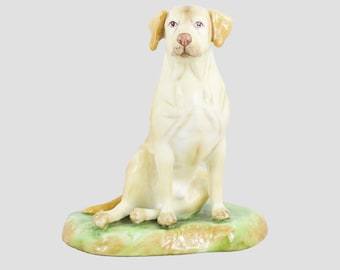 Labrador assis Royale Stratford Chien