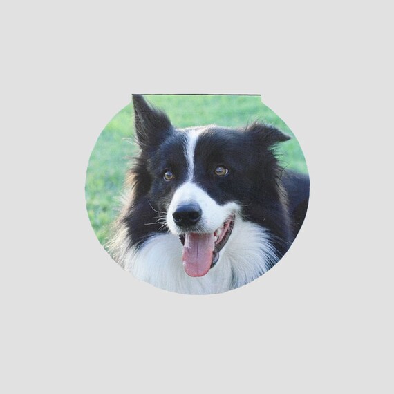 Mini Memo Dog Border Collie UK