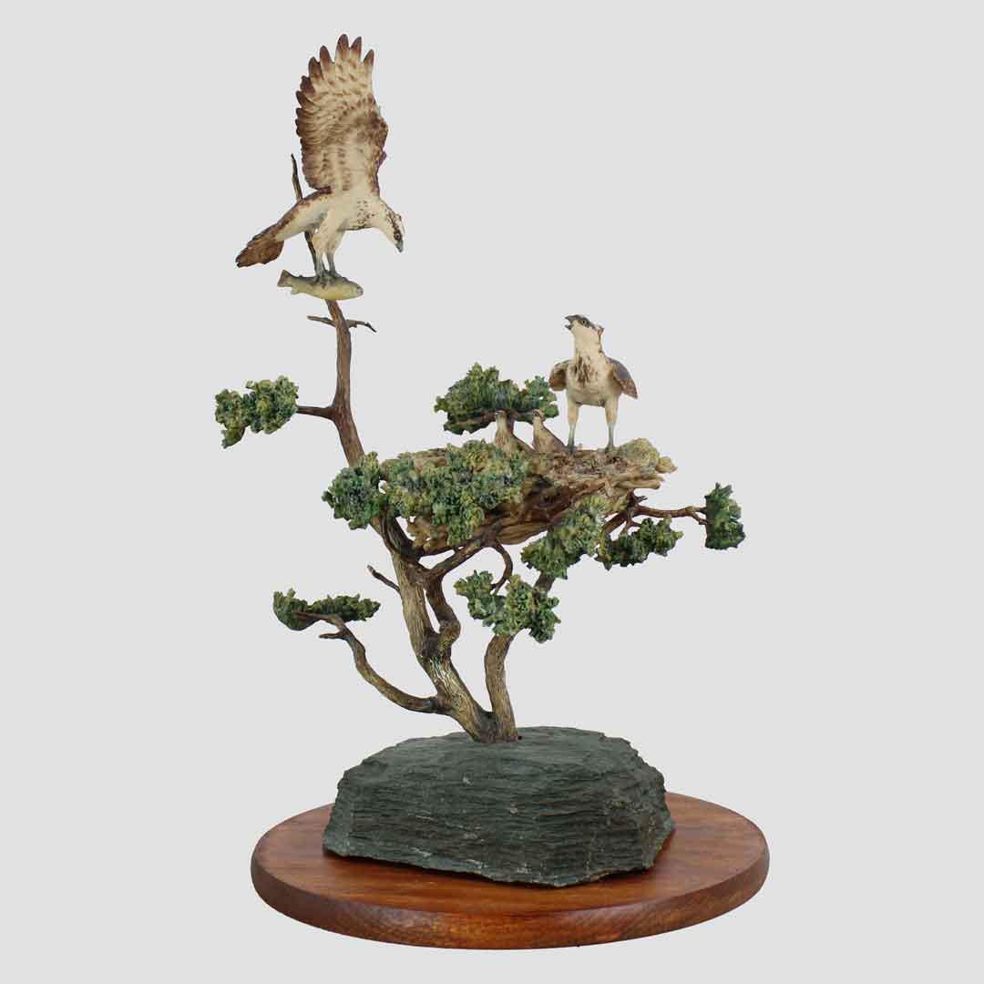 Ospreys Style Border Fine Arts Birds