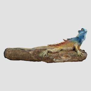 Modelo Lagarto
