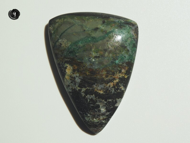 Collawood Cabochon Petrified Wood Cabochon Indonesian Opalized Wood
