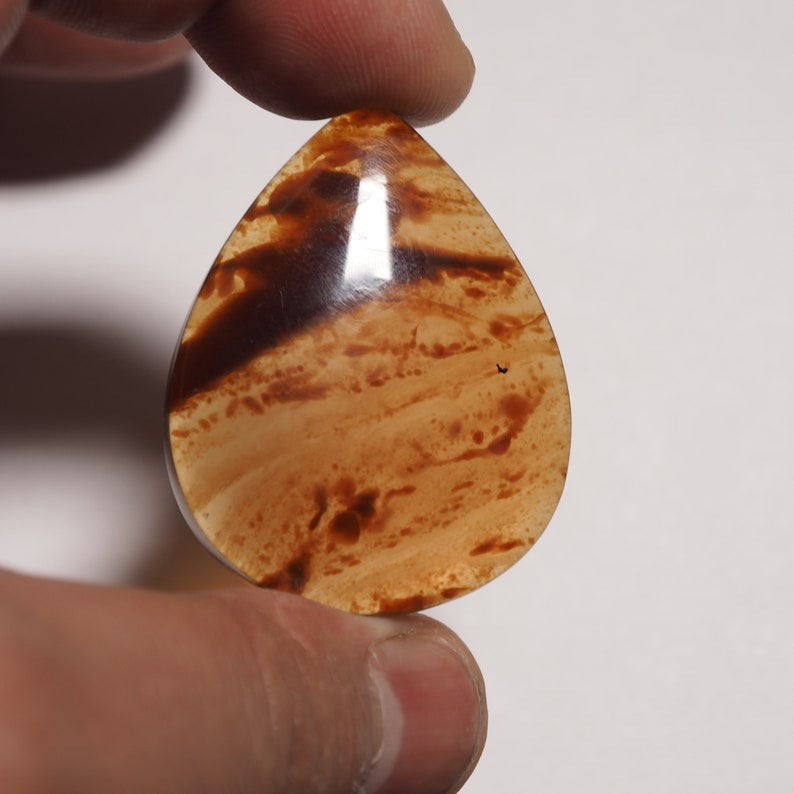 Indonesian blue Amber Cabochons with floral inclusions loose gemstones C0004