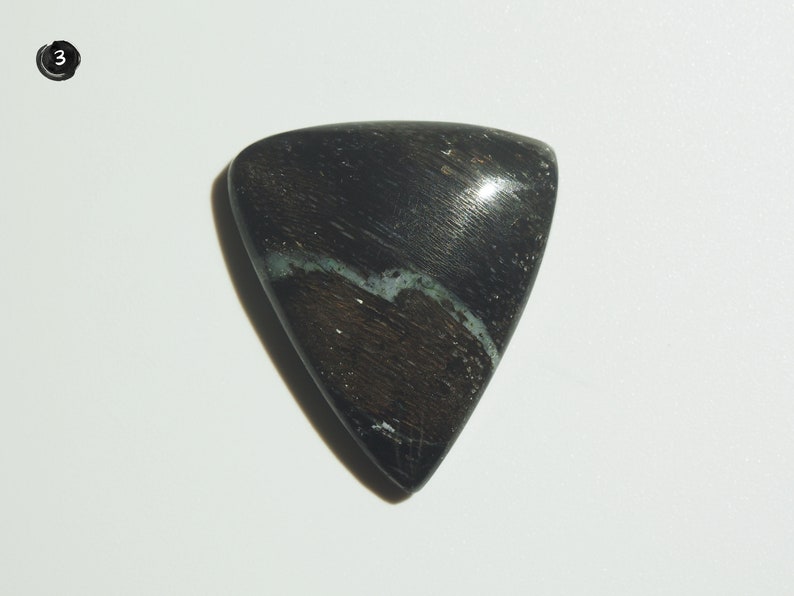 Collawood Cabochon Petrified Wood Cabochon Indonesian Opalized Wood
