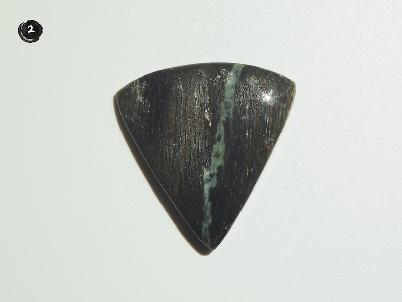 Collawood Cabochon Petrified Wood Cabochon Indonesian Opalized Wood