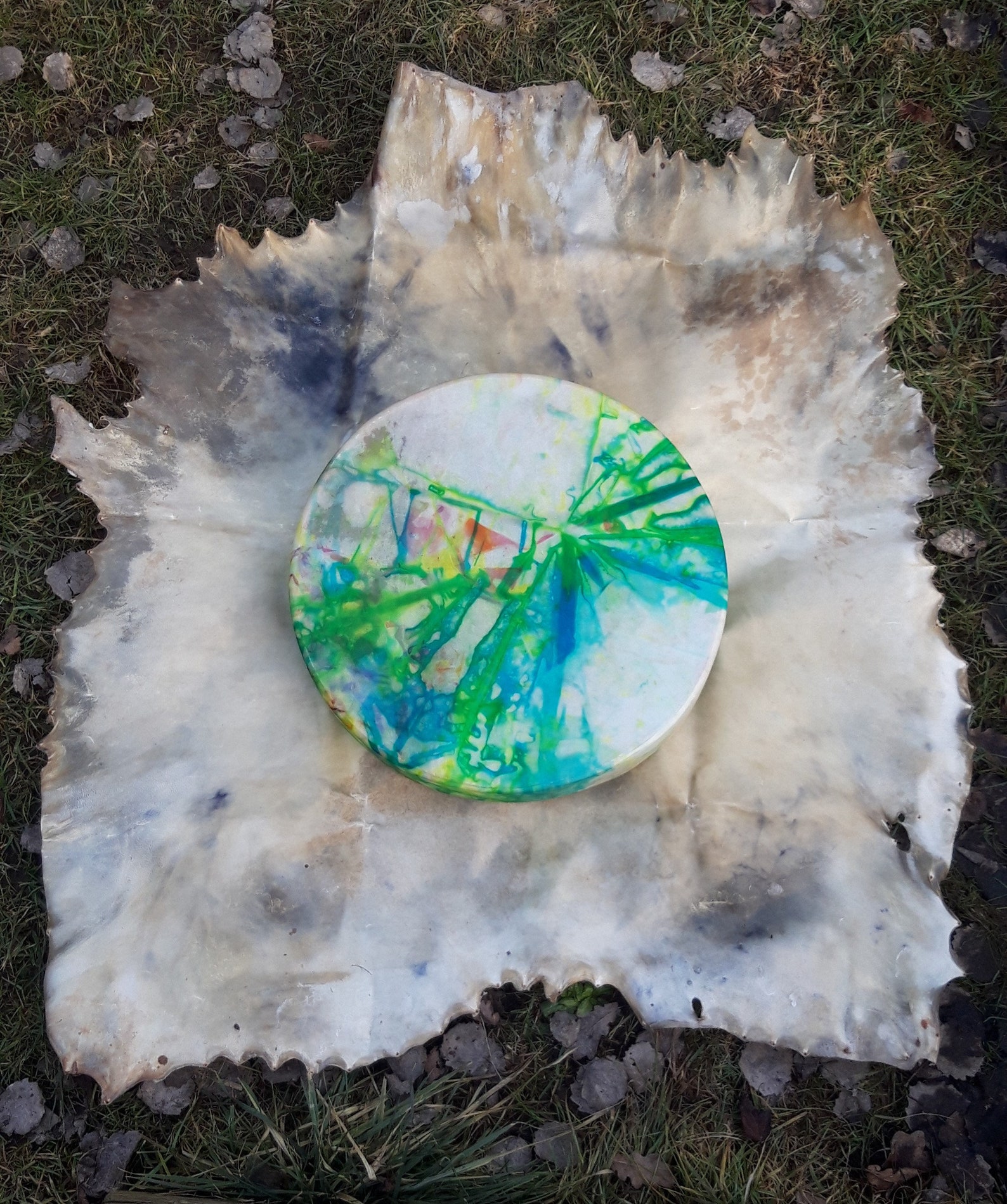 Whole goat skin for drum making Etsy