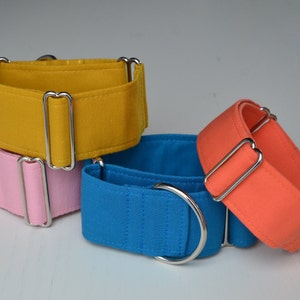 VARIOUS COLOURS 1.5 inch Martingale Collar Plain Mustard Yellow for Greyhound, Lurcher, Whippet Dog Lilac Teal