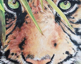 Tiger’s Eye Drawing