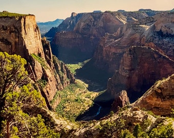 The Cliffs of Zion