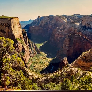 The Cliffs of Zion, Zion National Park, Observation Point, Mesa Rim Trail, Zion Canyon,  Canyon Overlook