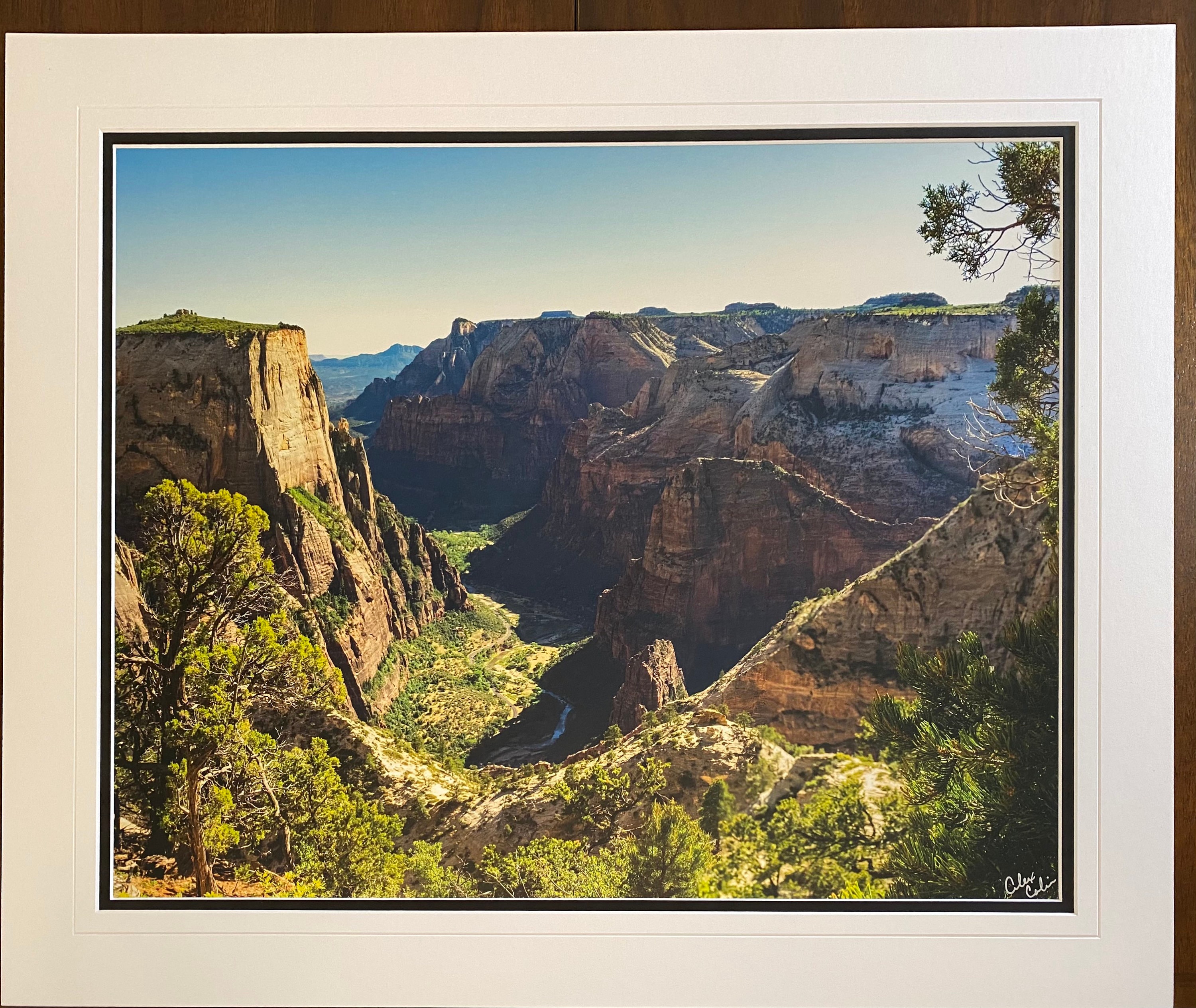 gallery photo