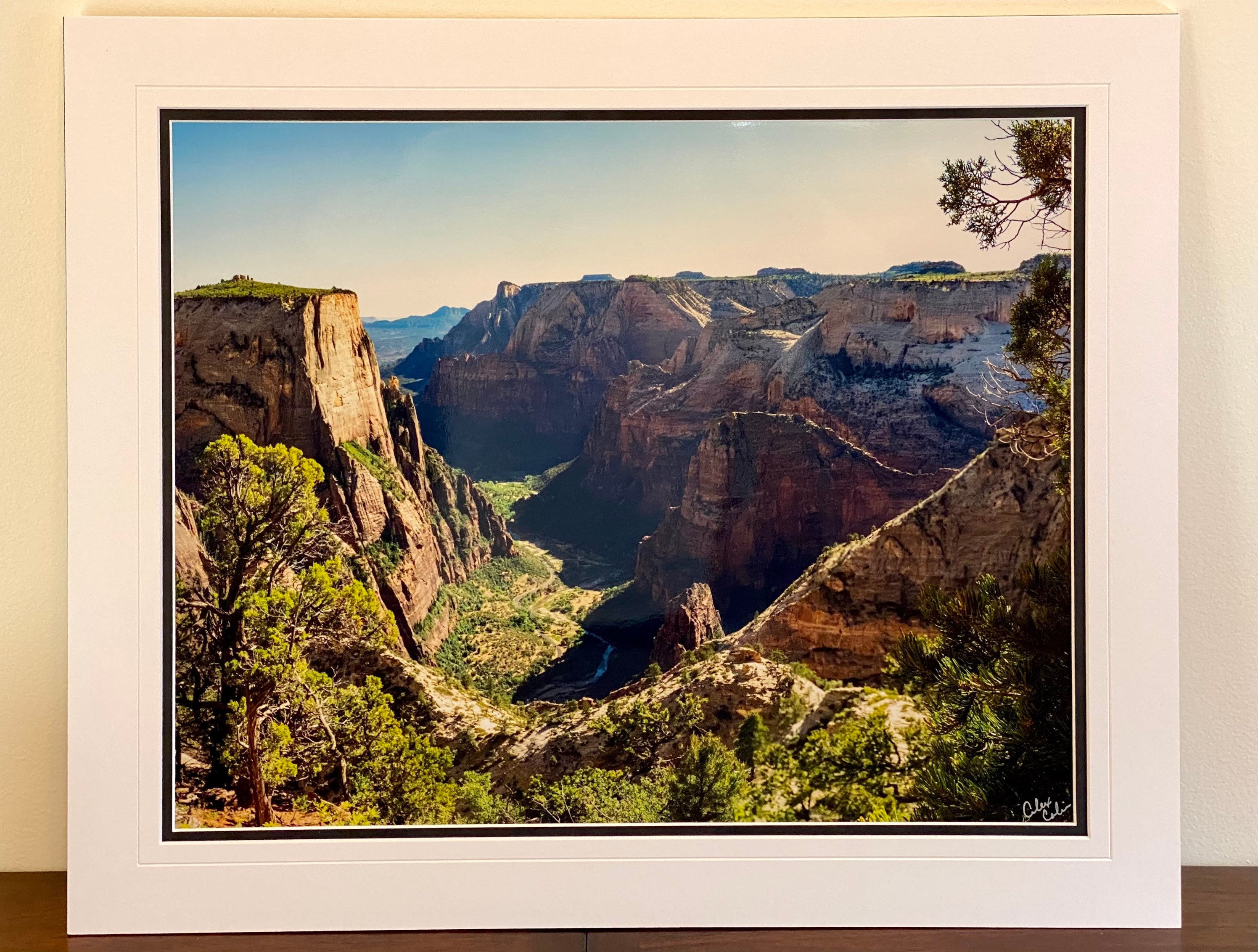 gallery photo