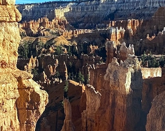 Towers of Light and Shadow