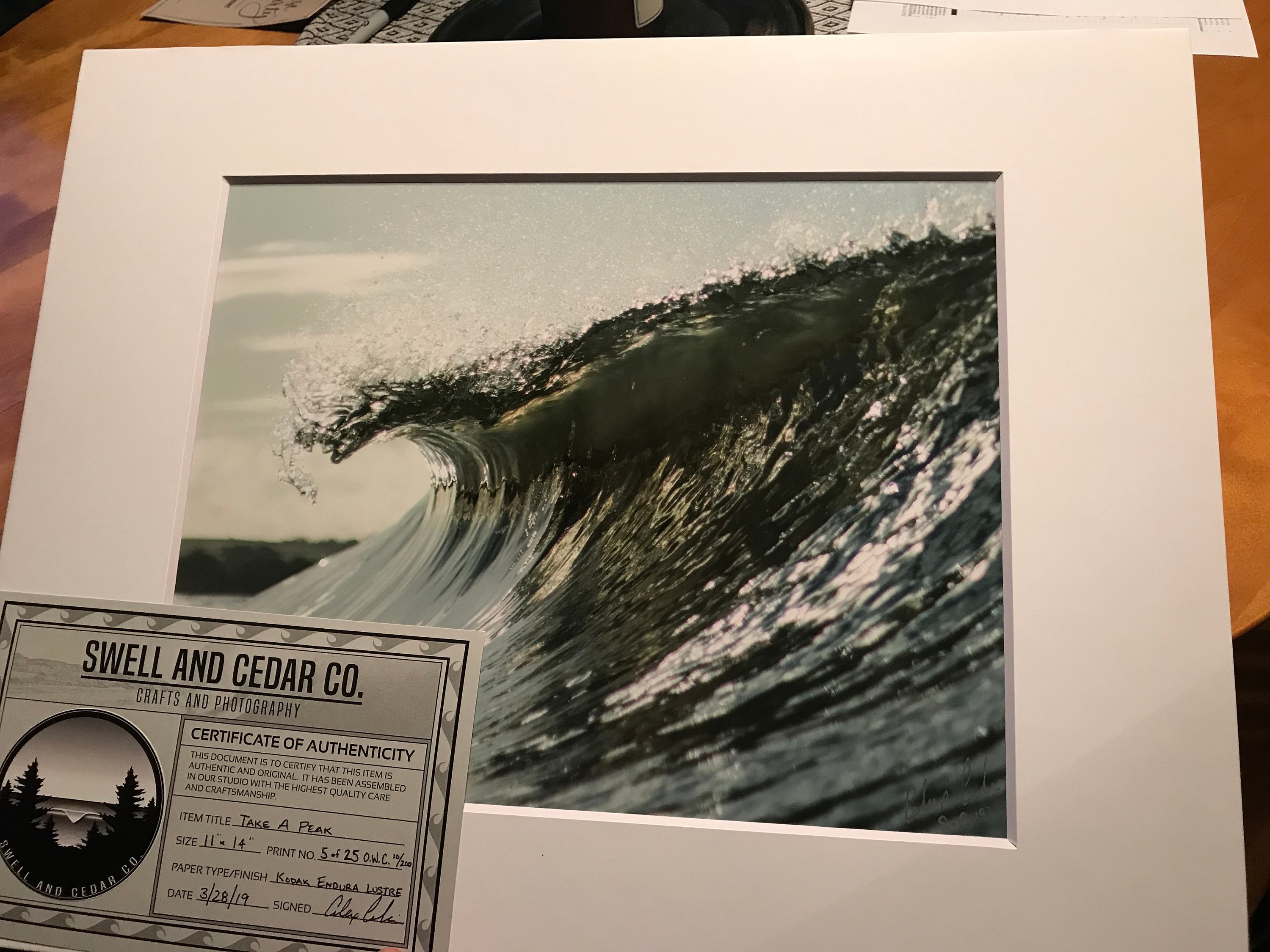 gallery photo
