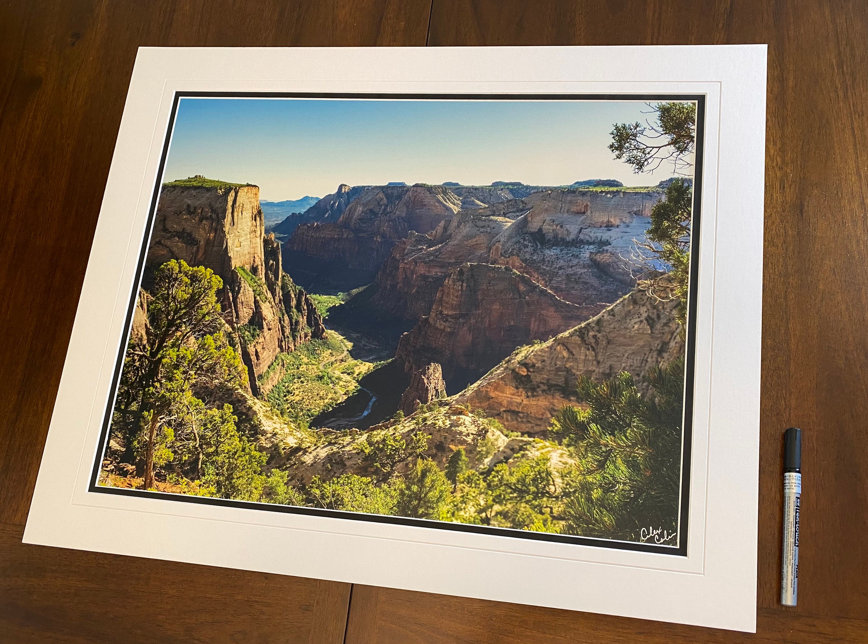 gallery photo