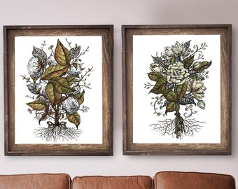 Set of 2 Botanical Plant Art Illustration PRINTS, warm neutral tones with magnolia and cotton blossoms, fall living room wall decor