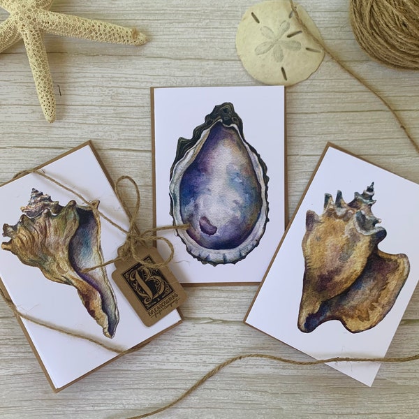 Seashell notecard set of 6 blank, nautical stationary set & envelopes, cute stationary set with oyster shell art, nautical letter set, beach