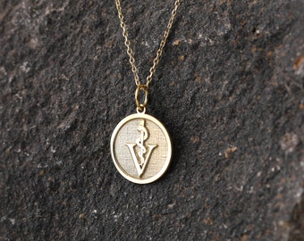 14k Gold Veterinarian Symbol Necklace, Personalized Veterinarian Symbol Pendant, Id Animal Pendant, Veterinarian Gift Necklace, Vet Gift