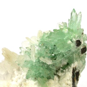 May include: A cluster of translucent, light green crystalline structures emerging from a white, textured mineral matrix. The specimen features sharp, pointed crystal formations with varying shades of pale mint green, contrasted by small dark brown inclusions.