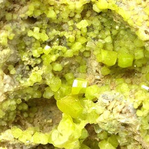 May include: Close-up of a mineral specimen featuring clusters of bright yellow, cubic crystals. The crystals are set against a matrix of tan and gray rock, creating a striking contrast. The overall texture is rough and crystalline.