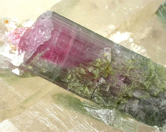Watermelon TOURMALINE and QUARTZ - Pretty Tourmaline and Quartz piece from Brazil.