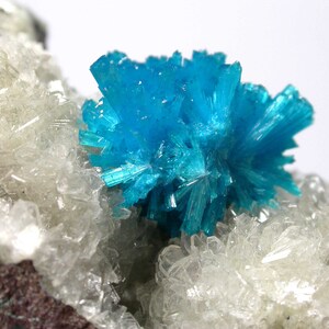 CAVANSITE - Rich Cavansite crystal cluster on basalt from India.