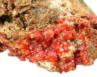 WULFENITE - Rare, red Wulfenite crystals from Kazakhstan.