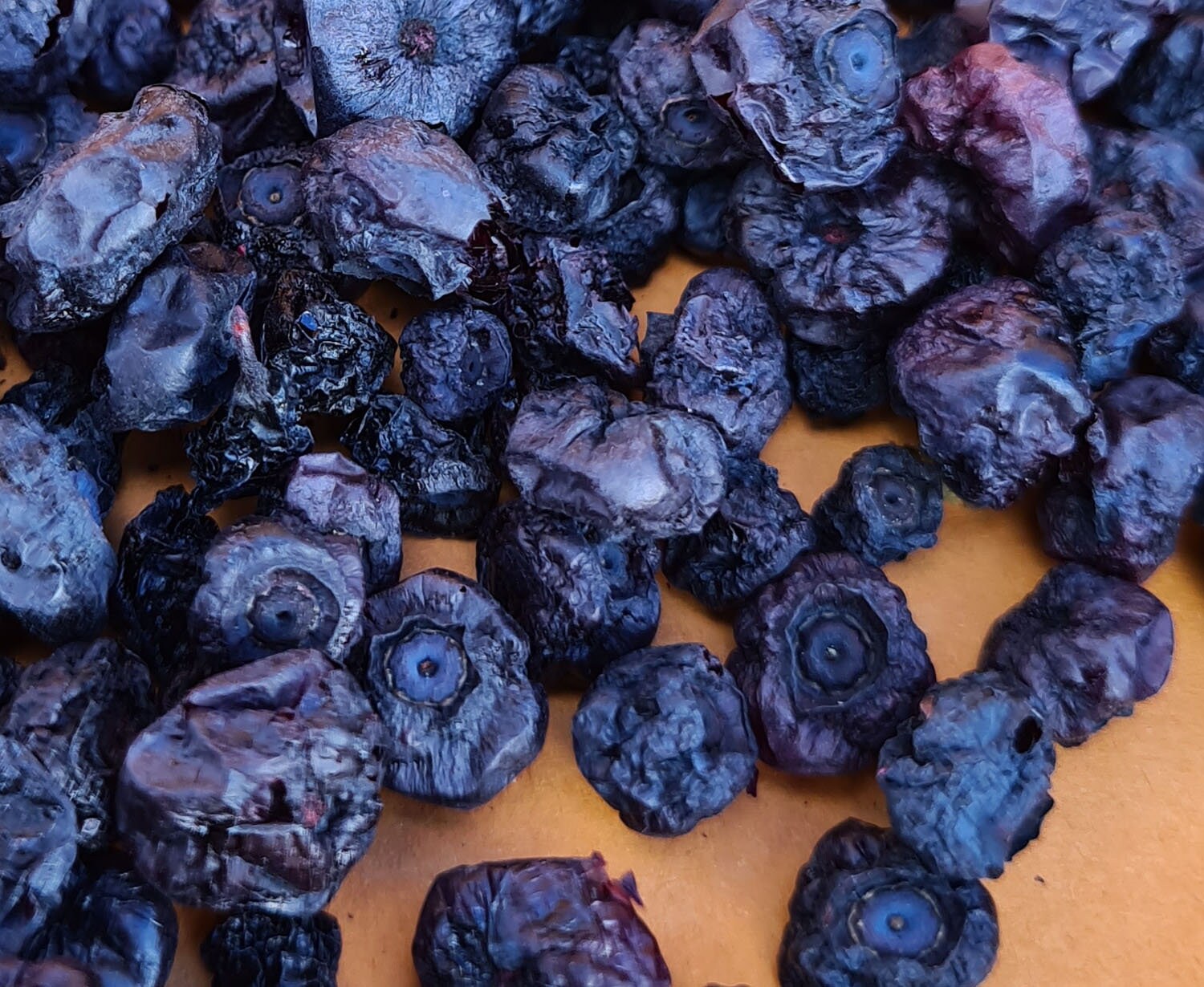 Wild blueberries dried 400g 8x50g 100 naturally handpicked Etsy