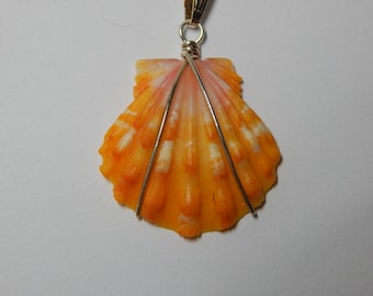 Gloripallium Bright Yellow Shell Necklace Solid 925 Silver Chain