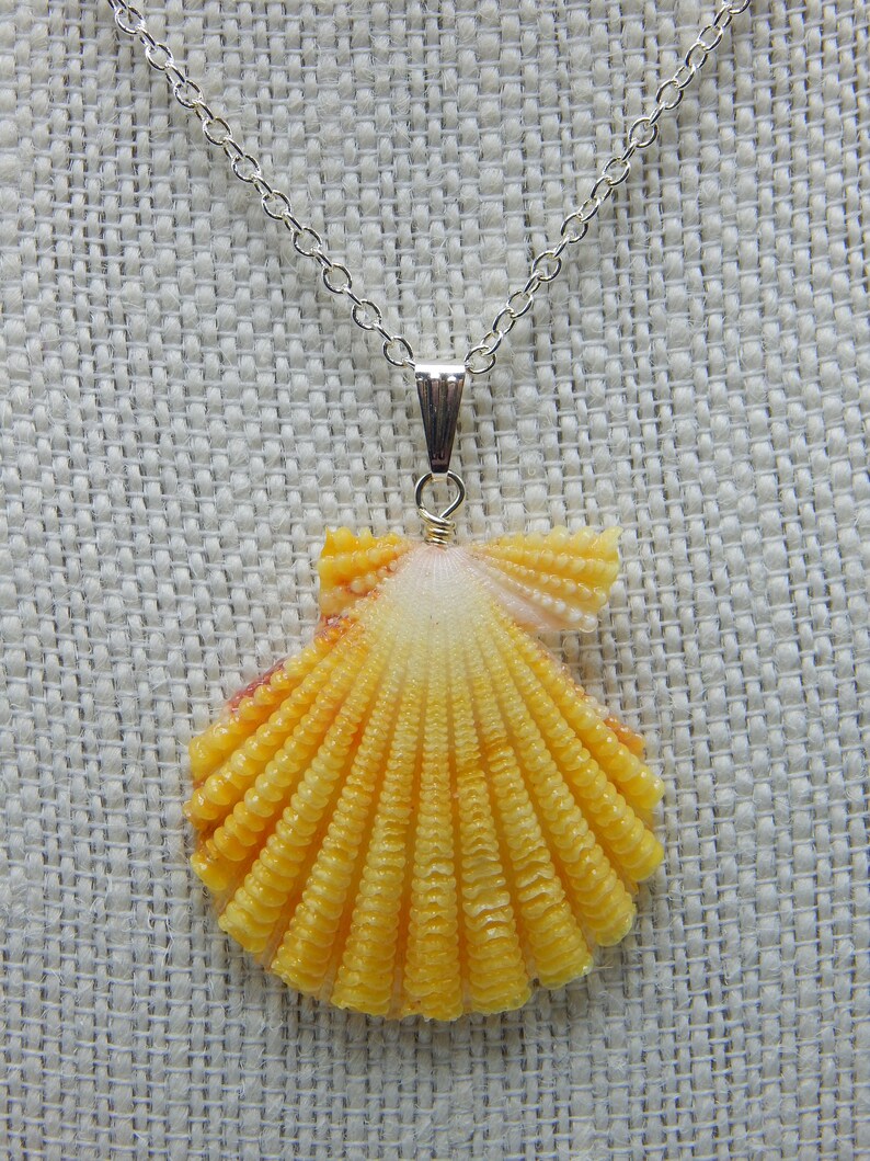Gloripallium Bright Yellow Shell Necklace Solid 925 Silver Chain