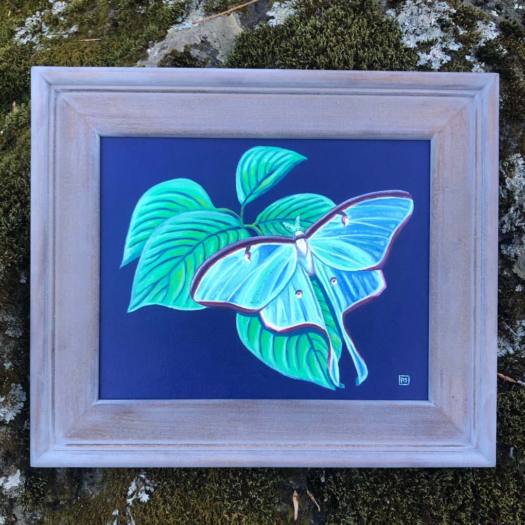 Luna Moth Original Oil Painting - Etsy