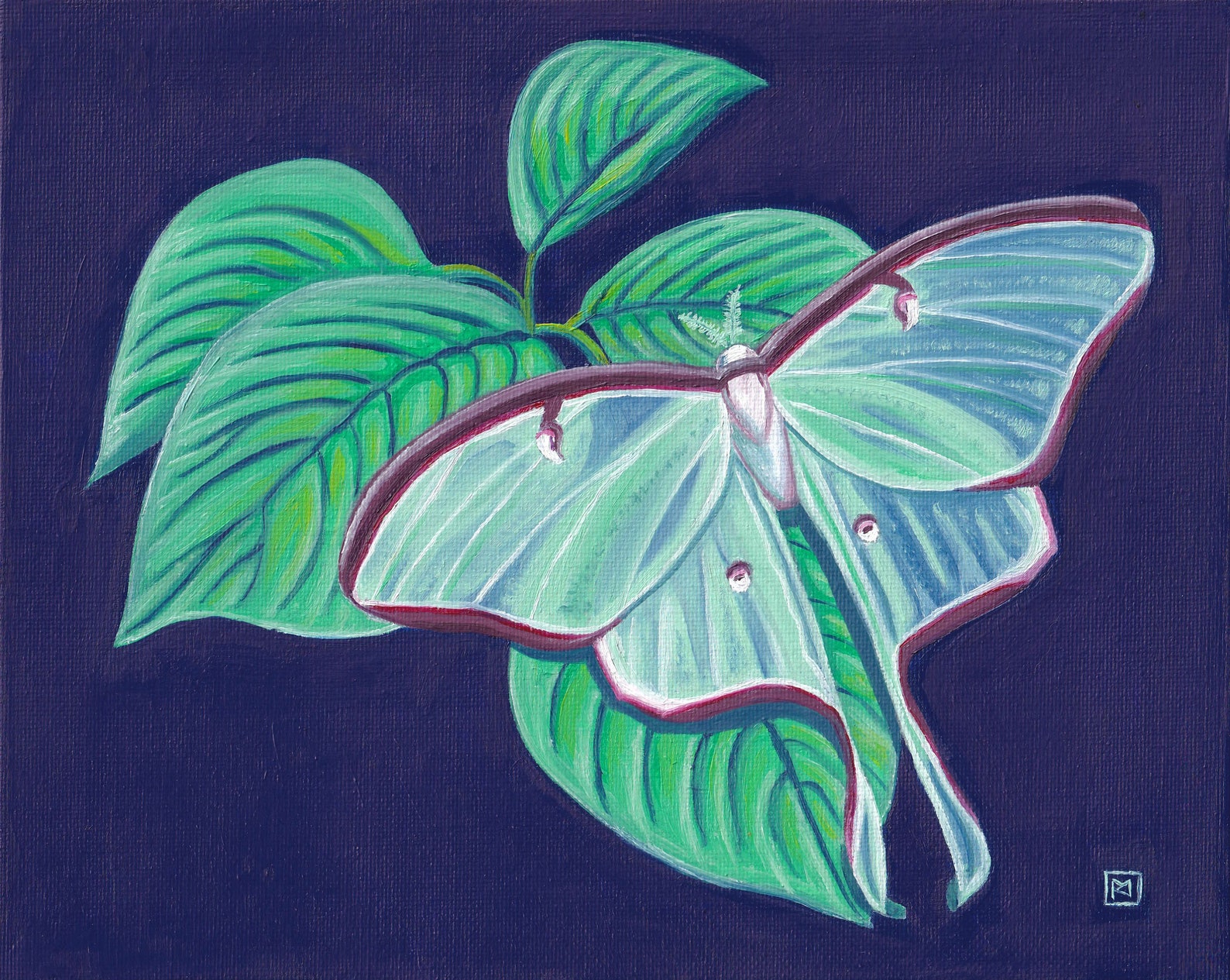 Luna Moth Original Oil Painting - Etsy