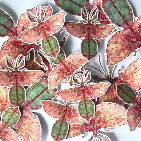 Grey's Leaf Insect Sticker, Phyllium Bioculatum Sticker, Chakra Svadhishthana, Nature Sticker