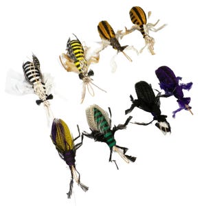 Creepy Critters Cat Toy- 8 pack- by Litterboy Pets