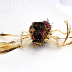 Rainbow Spider