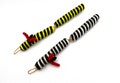 Centipede Cat Toy