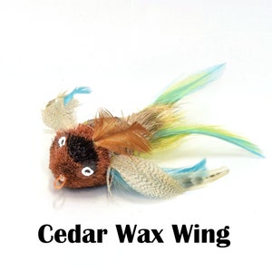 May include: A brown and black fuzzy cat toy with blue and green feathers. The toy has large white eyes and a small orange ring around its neck. The text "Cedar Wax Wing" is printed below the toy.