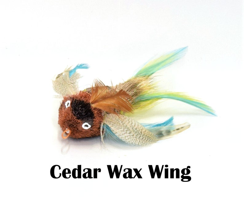 May include: A brown and black fuzzy cat toy with blue and green feathers. The toy has large white eyes and a small orange ring around its neck. The text "Cedar Wax Wing" is printed below the toy.