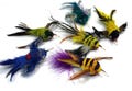 Critter Packs: "Birds of a Feather" - 6 Great Toys  Great way to try toys
