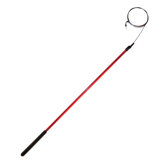 Litterboy 18&quot; Catcher Wand - New item for us,