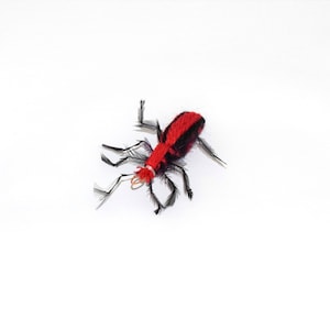 Colored Beetle Cat Toy- 4 pack- by Litterboy Pets