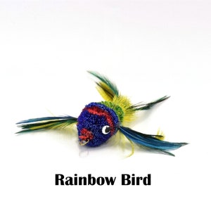 May include: A colorful, handmade cat toy shaped like a bird with blue, red, green, and yellow feathers. The toy has a black eye and is labeled "Rainbow Bird".