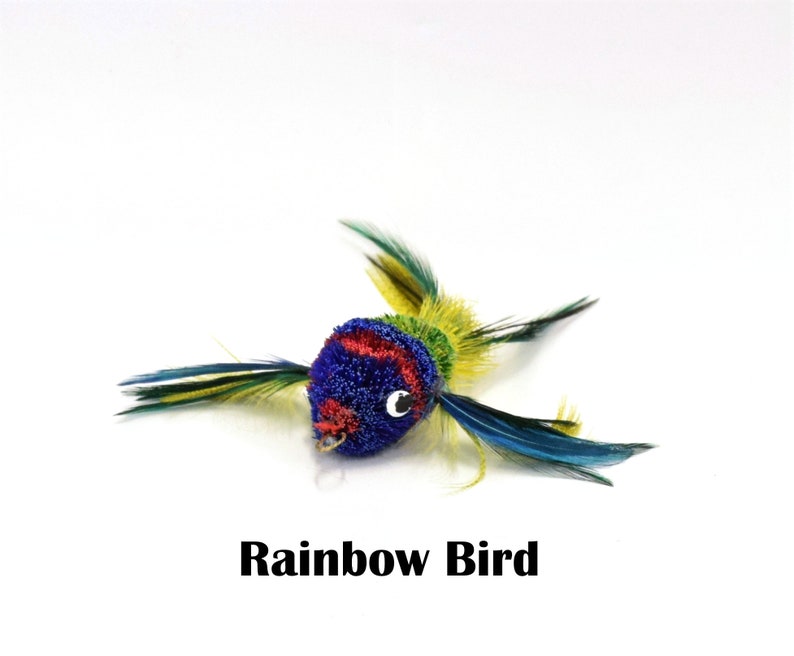 May include: A colorful, handmade cat toy shaped like a bird with blue, red, green, and yellow feathers. The toy has a black eye and is labeled "Rainbow Bird".