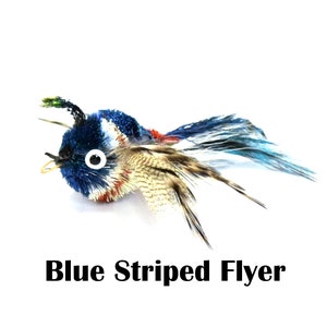 May include: Blue, red, and white striped cat toy with feathers and a large eye. The toy is shaped like a bird and is called "Blue Striped Flyer".