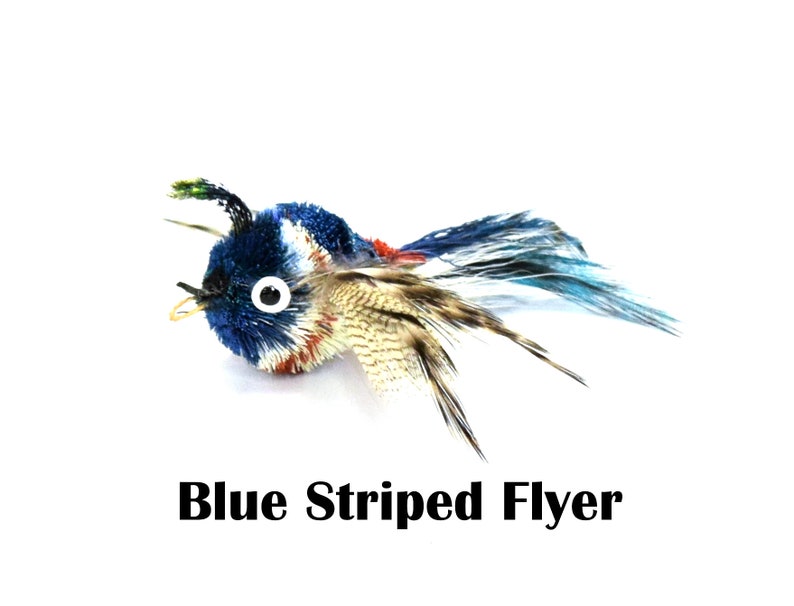 May include: Blue, red, and white striped cat toy with feathers and a large eye. The toy is shaped like a bird and is called "Blue Striped Flyer".