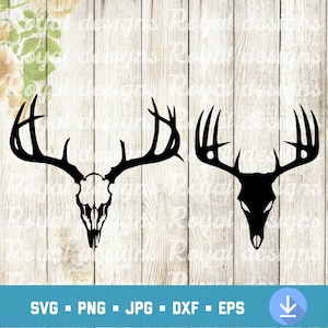 Cranio dei cervi SVG, corna di cervo SVG, vettore dei cervi, cranio digitale scaricare, File digitale Silhouette Buck Clipart