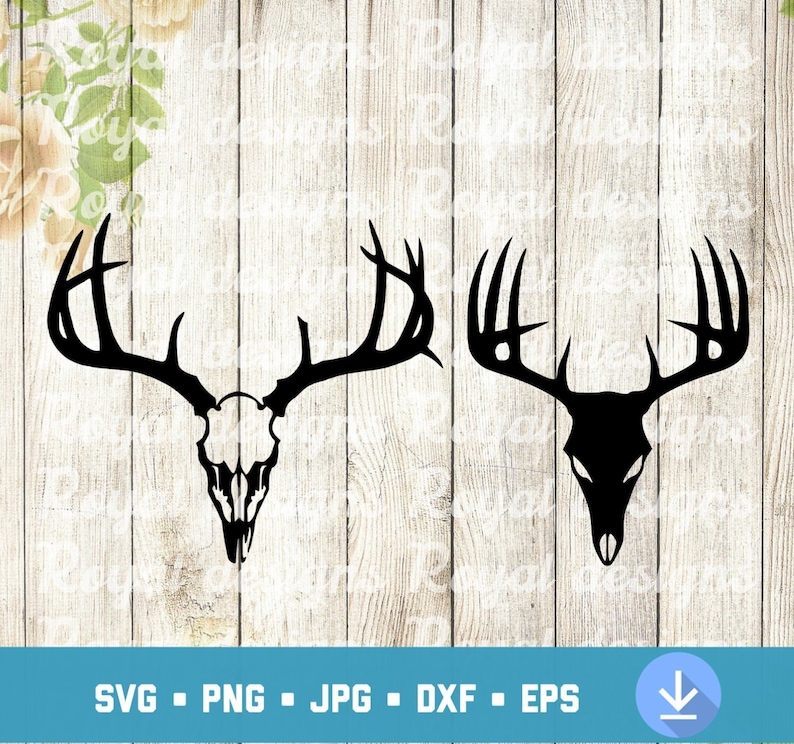 Download Buck Skull Vector